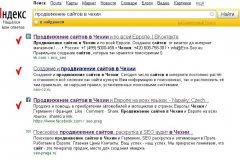 eco-seo-prodvig-ya