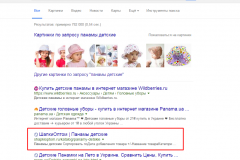 shapki-panamy-goo